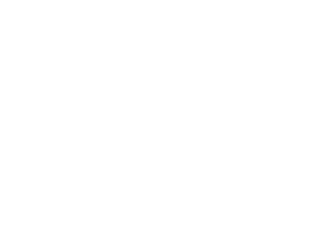 Reisel